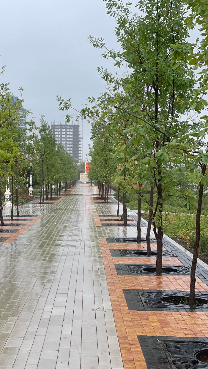 Приствольная решетка для дерева ZKING CRUST 1.2х1.2м Черная в Ярославле фото