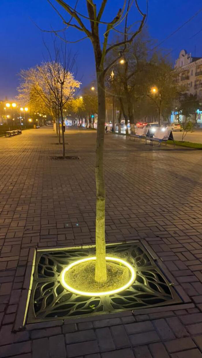 Приствольная решетка для дерева ZKING CRUST 1.2х1.2м Черная в Ярославле фото